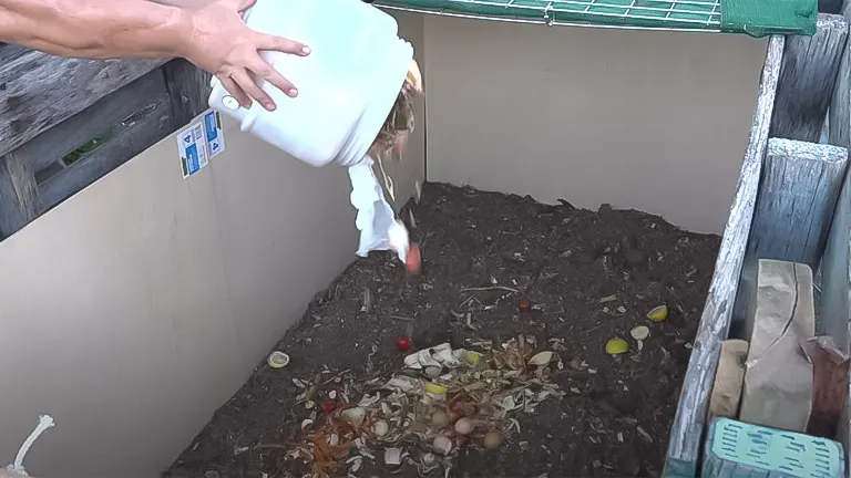 Person adding food scraps to a compost bin as part of an innovative chicken composting guide