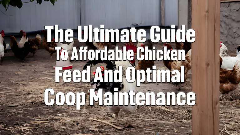 Easy Chicken Feed Savings and Coop Care Tips