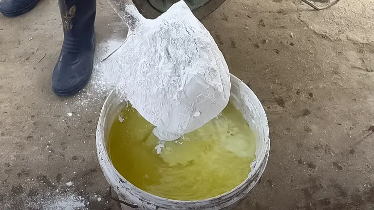 Pouring white powder into a bucket of yellow liquid, likely for coop disinfection