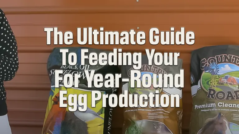 What Should You Feed Your Chickens for Year-Round Egg Production? An Essential Guide