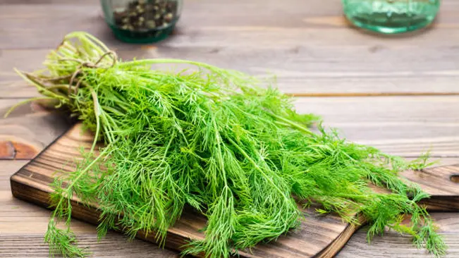 A bunch of fresh dill weed on a wooden cutting board.