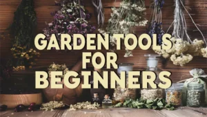 garden tools for beginners