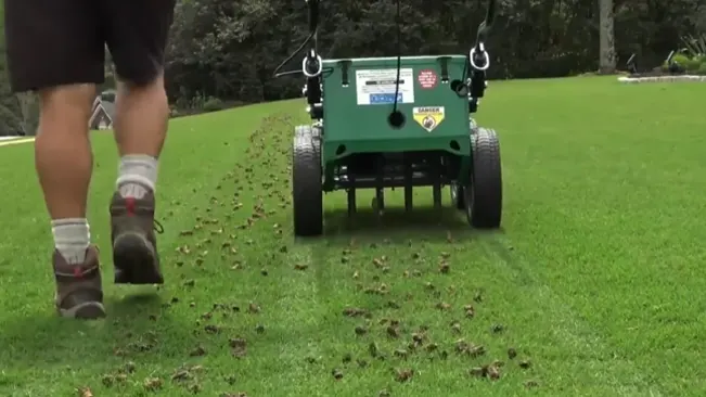 person from behind, operating a walk-behind lawn aerator on a grassy field. The aerator is green with black wheels and is actively working, as indicated by the visible holes in the ground