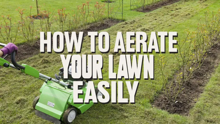 How to Aerate Your Lawn Easily: Essential Tips and Tricks