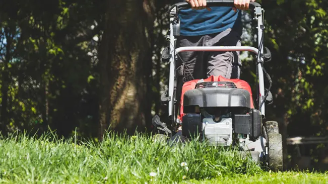 person from behind, mowing a lush green lawn with a red and black lawnmower on a sunny day