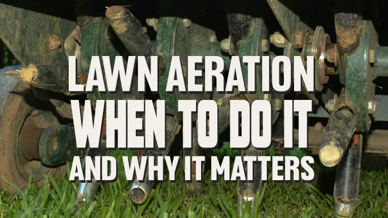 Lawn Aeration: When to Do It and Why It Matters
