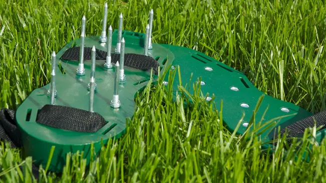 A pair of green lawn aerator shoes with metal spikes lying on lush grass
