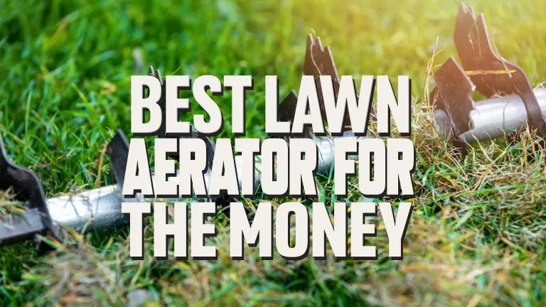 Best Lawn Aerator for the Money 2024