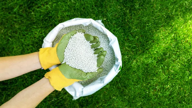 person in yellow gloves holding a bag of fertilizer over a green lawn