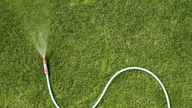 garden hose watering a well-manicured, vibrant green lawn