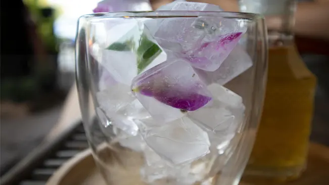 Freezing the flowers in ice cubes 