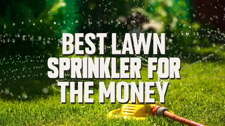 Best Lawn Sprinklers 2024