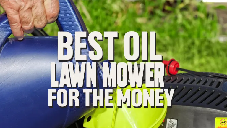 Best Oil For Lawn Mower for The Money: Top Picks for 2024
