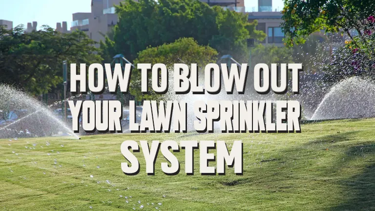 How to Blow Out Your Lawn Sprinkler System: Essential Lawn Care