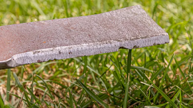 frosty edge of a lawn mower blade green grass
