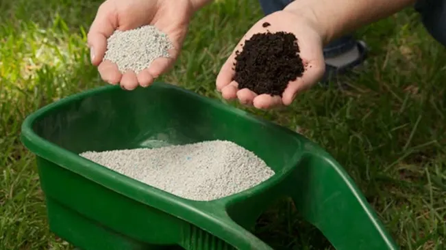 Hands holding soil and fertilizer