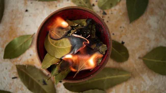Burning bay leaves in a bowl, releasing their aromatic fragrance, used in many cultural practices.