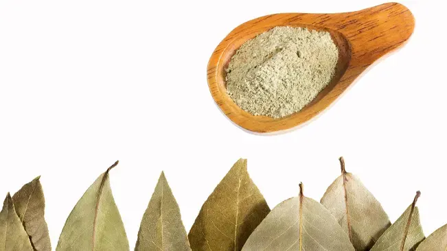 Dried bay leaves lined up with ground bay leaf powder in a wooden spoon, showcasing the plant's versatile benefits.