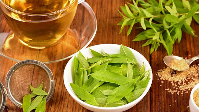 Fresh verbena leaves in a white bowl with a cup of tea and a strainer, on a wooden surface.