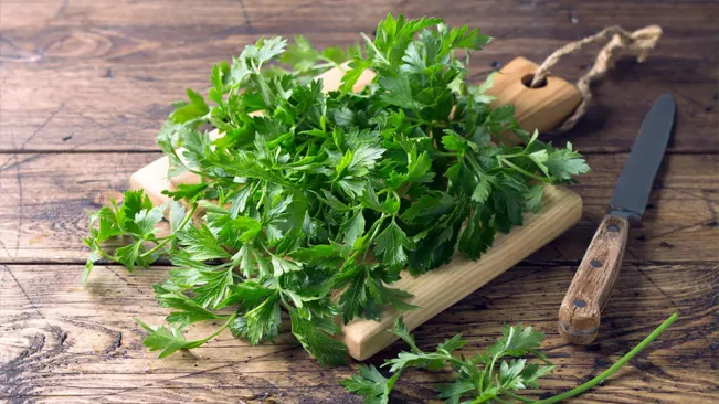 Fresh chervil bunch on a wooden cutting board with a kitchen knife, ready for culinary use.