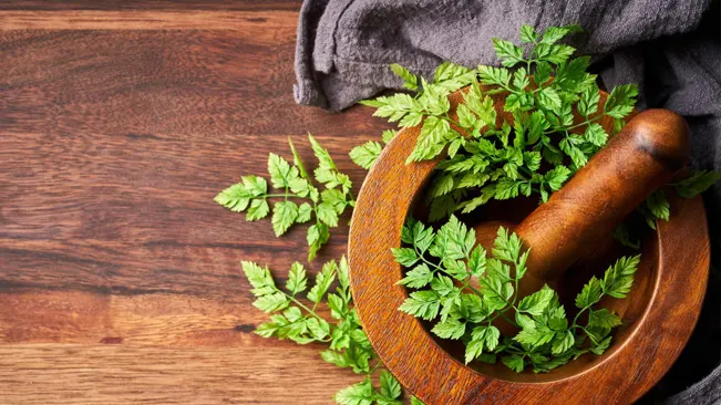 Fresh chervil leaves in a wooden mortar and pestle on a table, ready for culinary use.