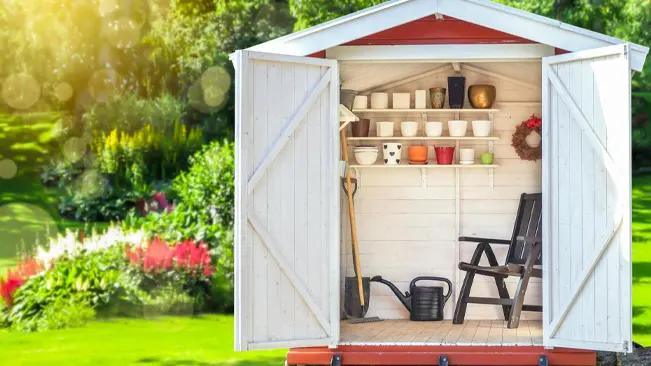 Open white potting shed with shelves and gardening equipment.