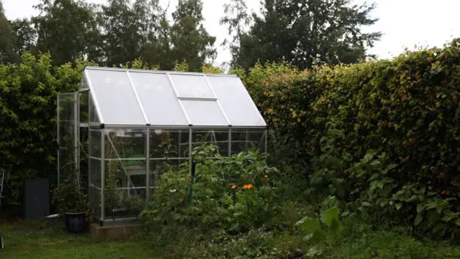 Transparent greenhouse shed in a lush garden setting.