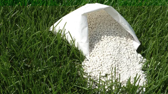 Spilled fertilizer bag on lawn