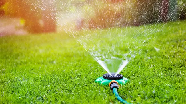 garden sprinkler watering vibrant green grass