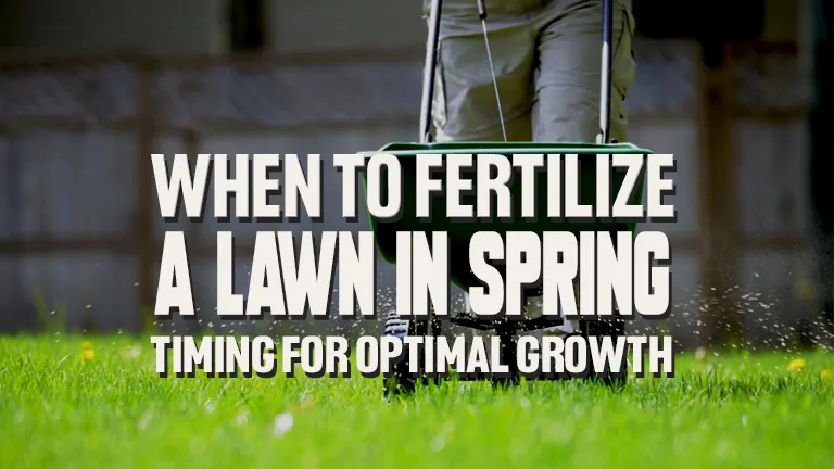 When to Fertilize a Lawn in Spring: Timing for Optimal Growth