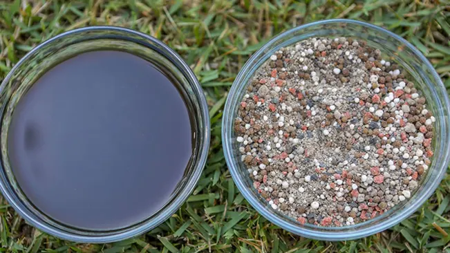 Bowl of dark liquid and bowl of mixed granules on grass