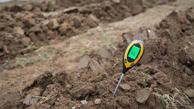 Soil moisture meter in soil