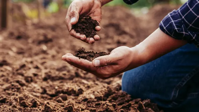 person holding fertile soil in their hands