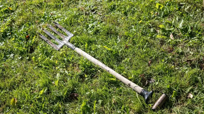 Garden fork in grass