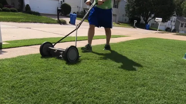 blue shirt and shorts using a manual push mower on a vibrant, well-maintained lawn in a suburban setting under a clear sky.