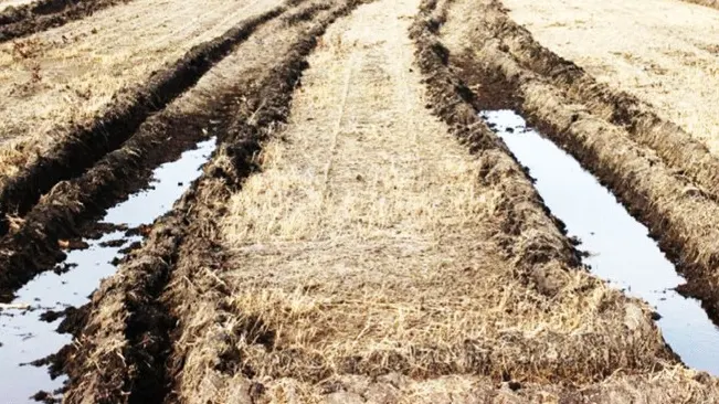 Muddy tire tracks in field