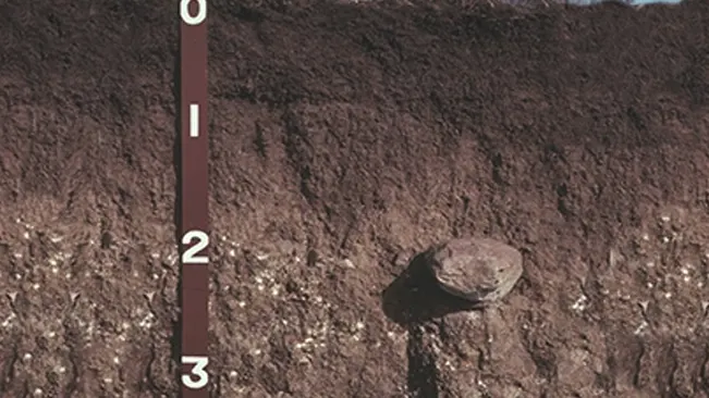 Close-up of soil with ruler