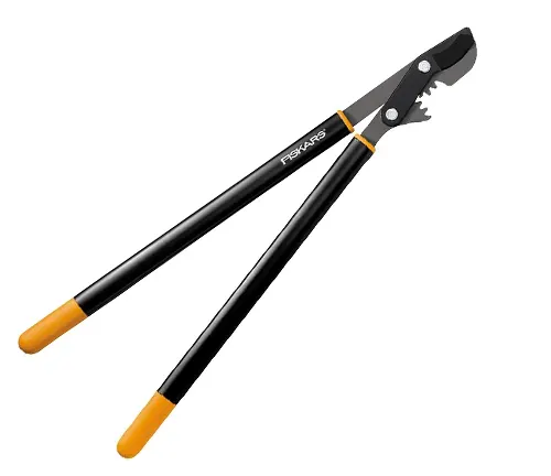 Fiskars 32-inch PowerGear Bypass Lopper and Tree Trimmer Review
