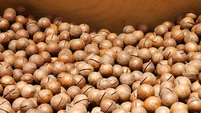 Nuts stored in their shells have a longer shelf life