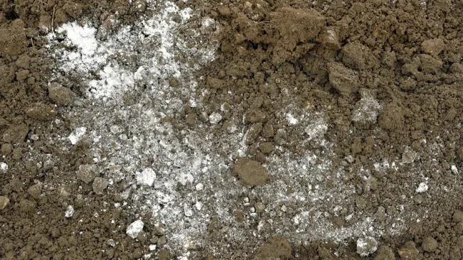 Pile of dirt with white powder.