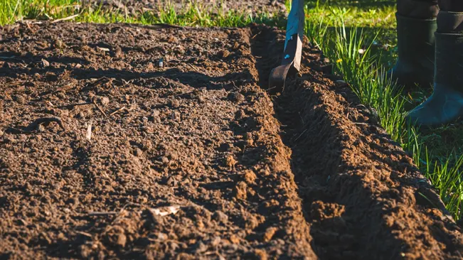 Person cultivating soil in a garden.