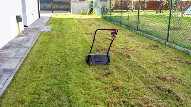 Lawn mower on partially mowed grass