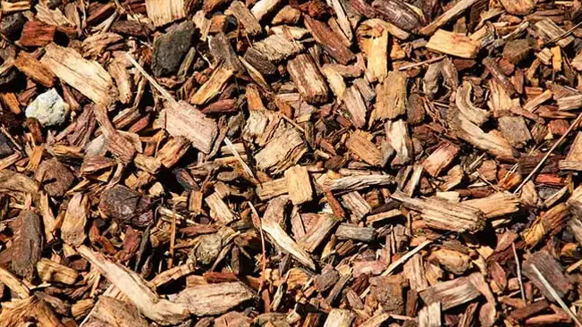 Pile of wood chips