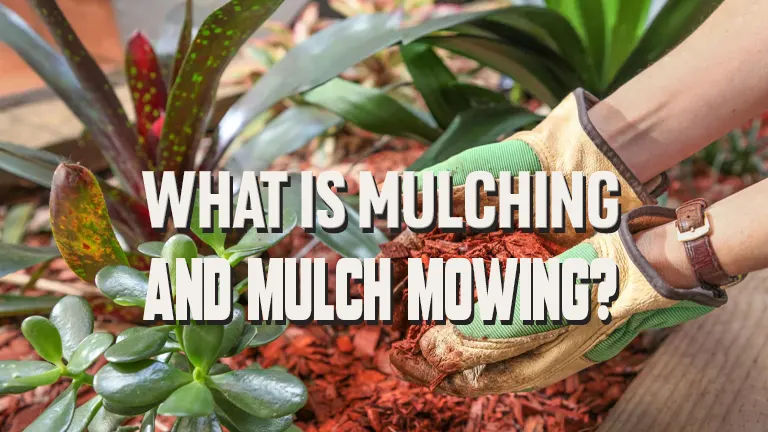 What is Mulching and Mulch Mowing