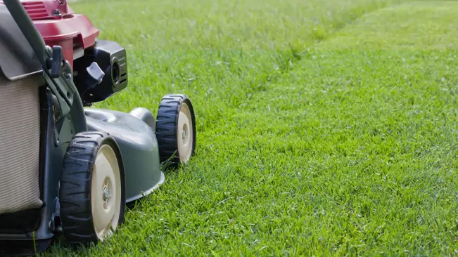 red and black lawnmower in motion on a lush green lawn