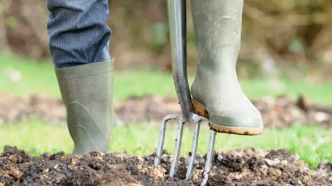 person in grey rubber boots and blue jeans using a metal pitchfork to till freshly turned soil in an outdoor setting