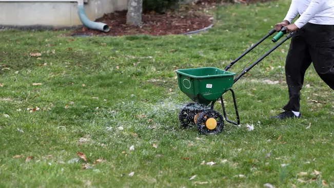 an individual using a green fertilizer spreader on a well-maintained lawn