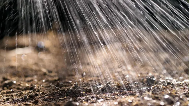 close-up view of water droplets falling onto dark, rich, and wet soil