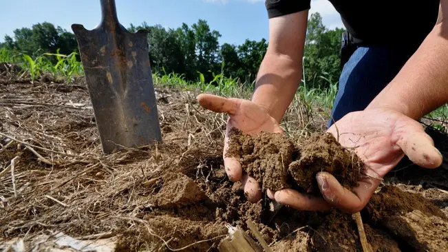 person holding fertile soil in their hands, with a metal shovel embedded in the ground nearby