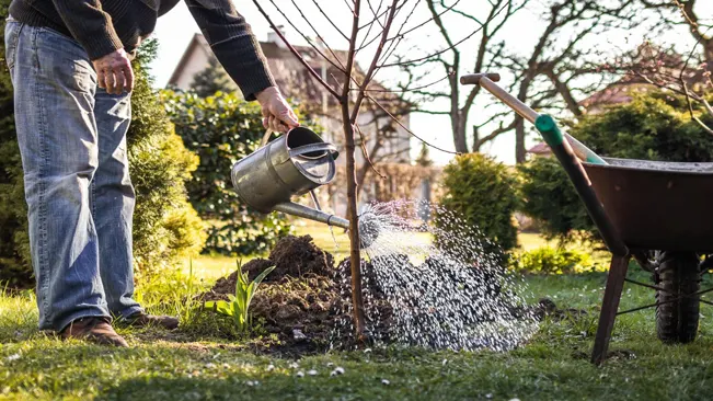 Watering